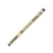 Sakura Pigma Micron Pen 0.25mm-Purple